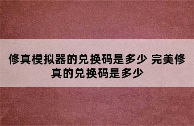 修真模拟器的兑换码是多少 完美修真的兑换码是多少